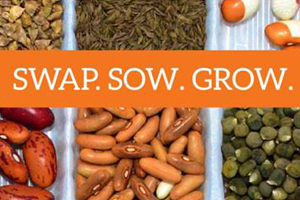 Seed Swap 2026 Photo