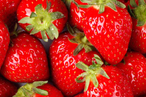 Holland Strawberry Festival  Photo