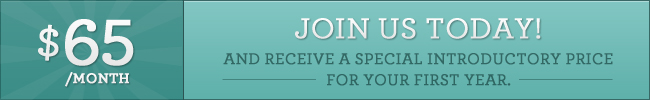 Introductory Offer
