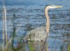 Photo of the Week thumbnail image