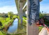 Photo of the Week thumbnail image