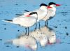 Photo of the Week thumbnail image