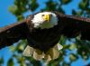 Photo of the Week thumbnail image