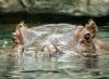 Photo of the Week thumbnail image