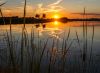 Photo of the Week thumbnail image