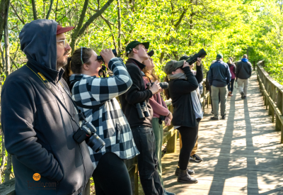 Biggest Week in American Birding 2025 Photo Album